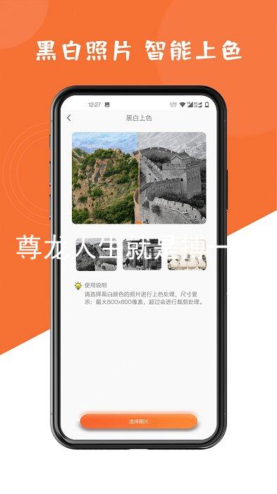 尊龙人生就是搏一下