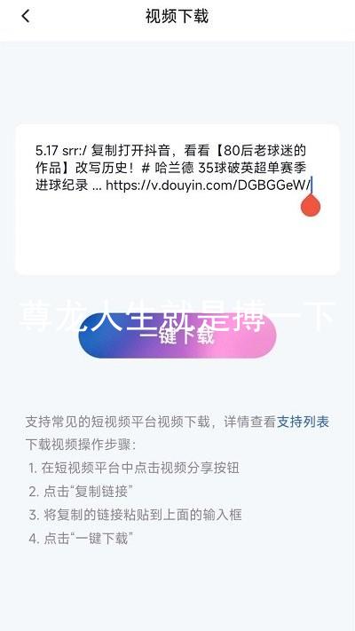 尊龙人生就是搏一下