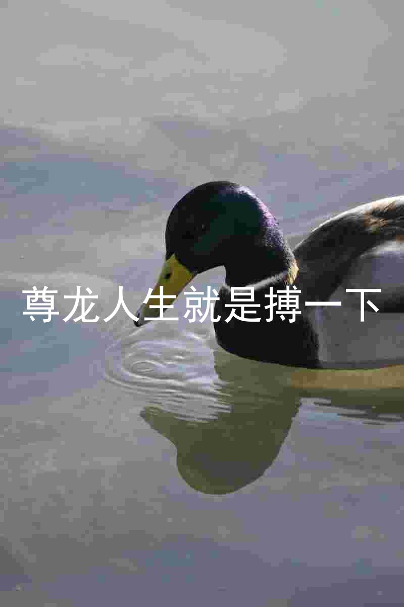 尊龙人生就是搏一下