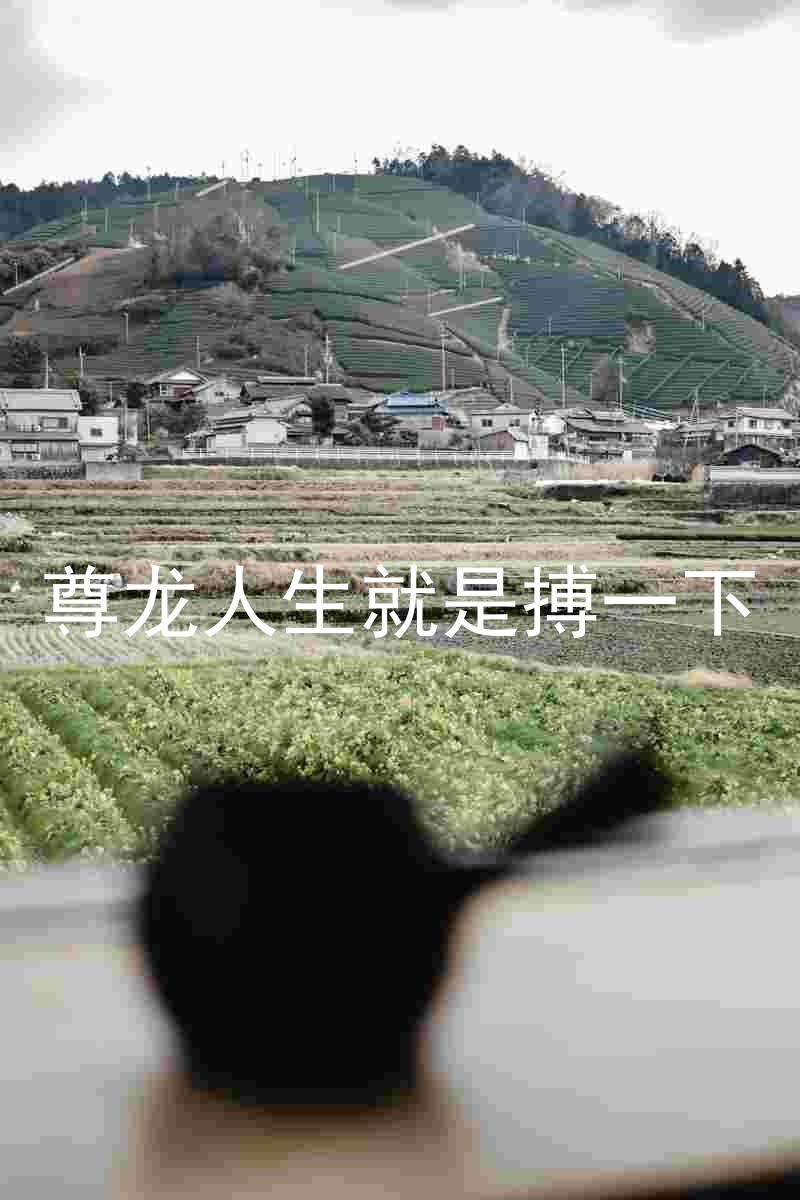 尊龙人生就是搏一下