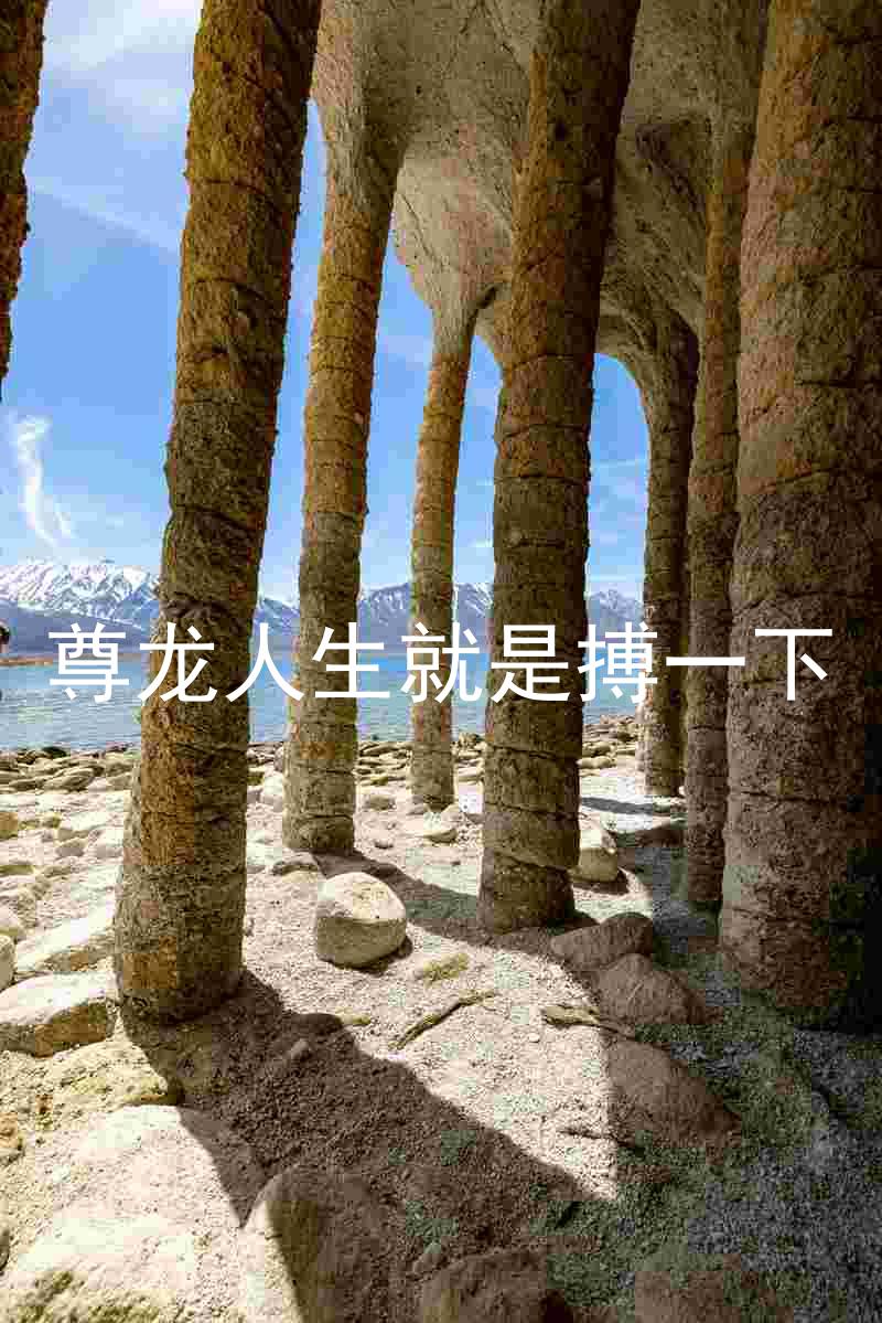 尊龙人生就是搏一下