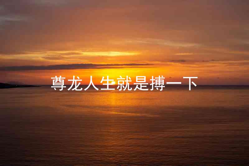 尊龙人生就是搏一下