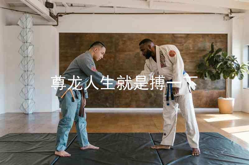 尊龙人生就是搏一下