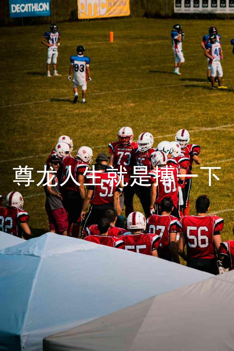 尊龙人生就是搏一下