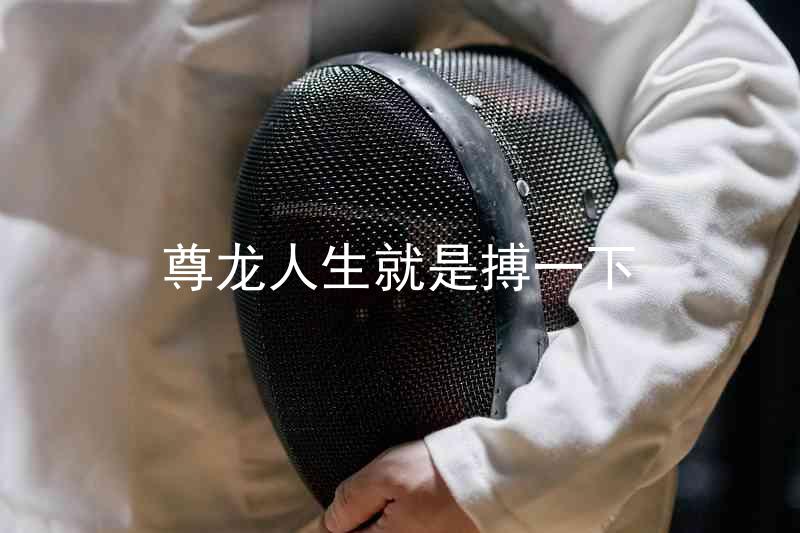 尊龙人生就是搏一下