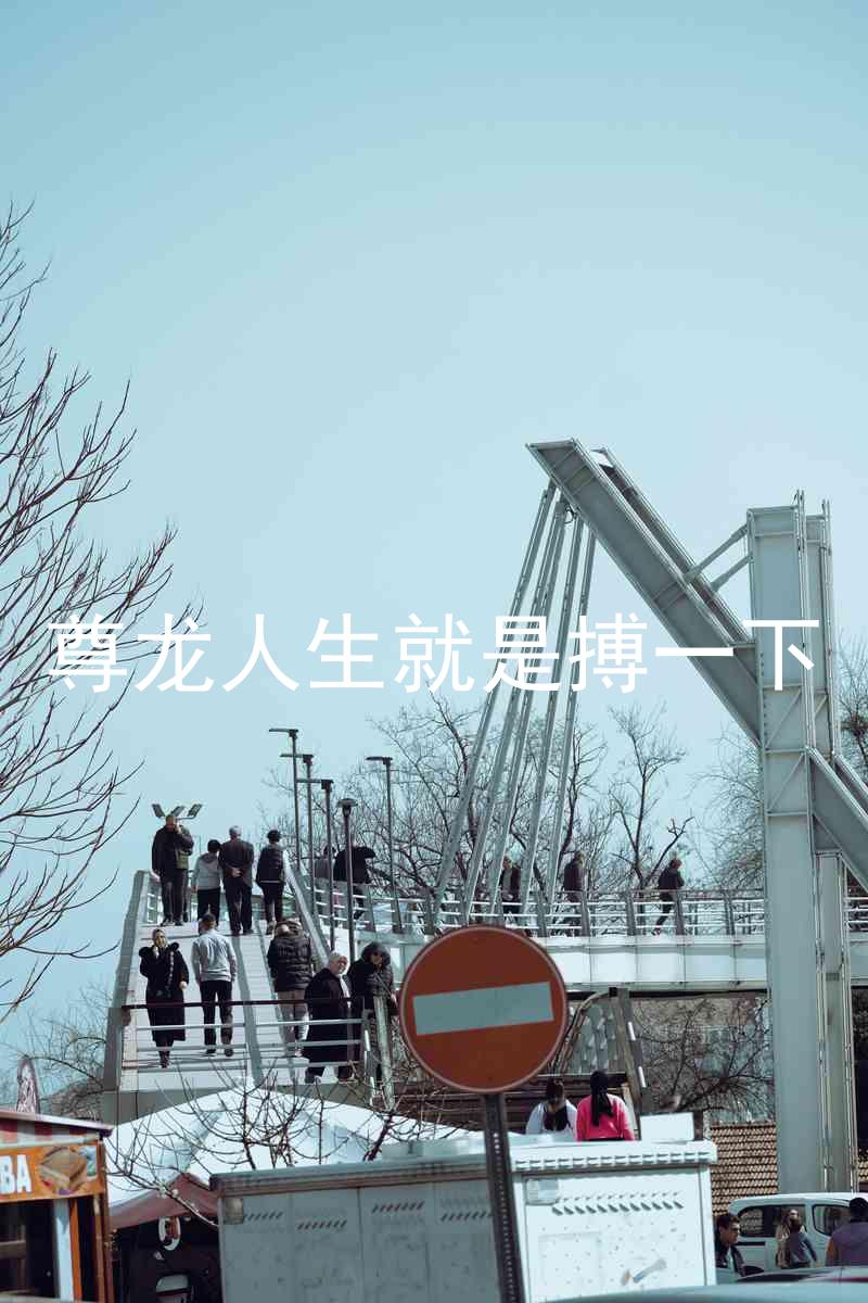 尊龙人生就是搏一下