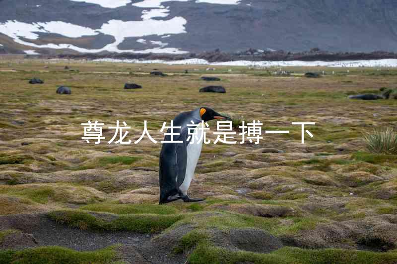 尊龙人生就是搏一下