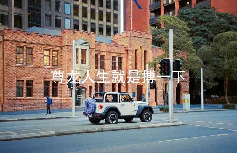 尊龙人生就是搏一下