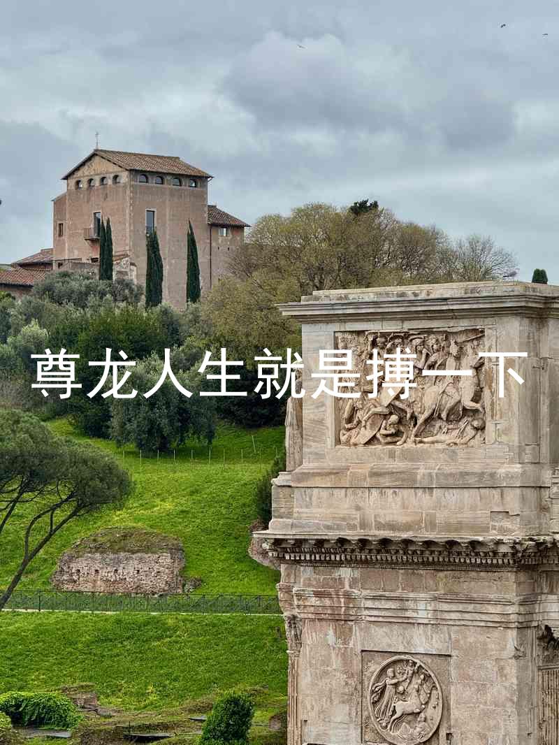 尊龙人生就是搏一下