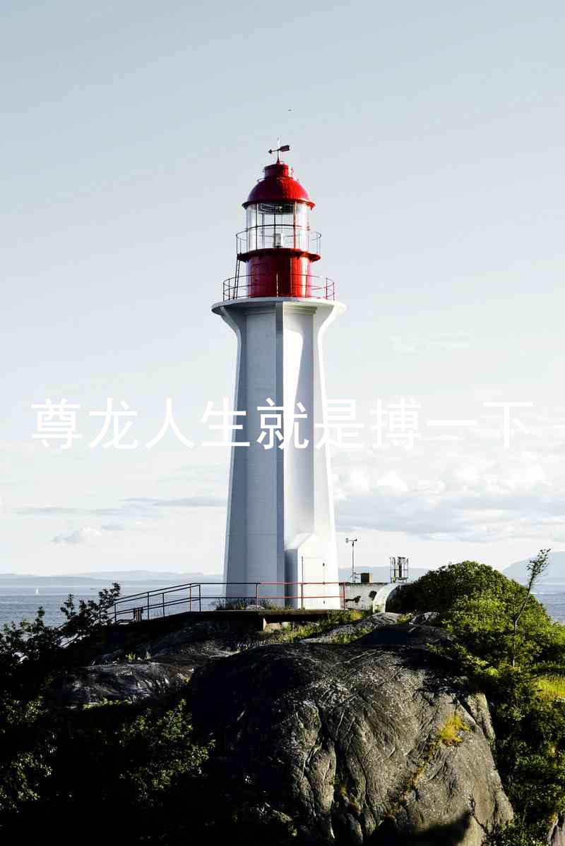 尊龙人生就是搏一下