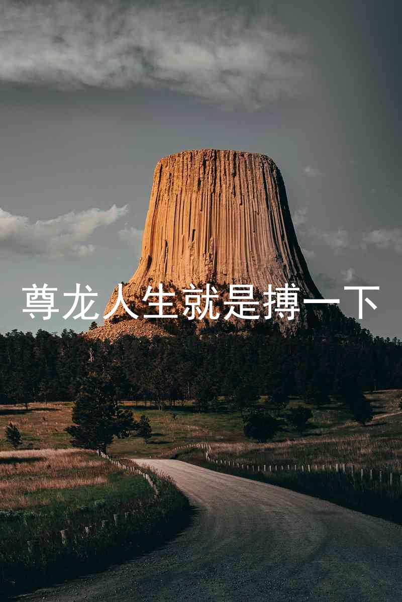 尊龙人生就是搏一下